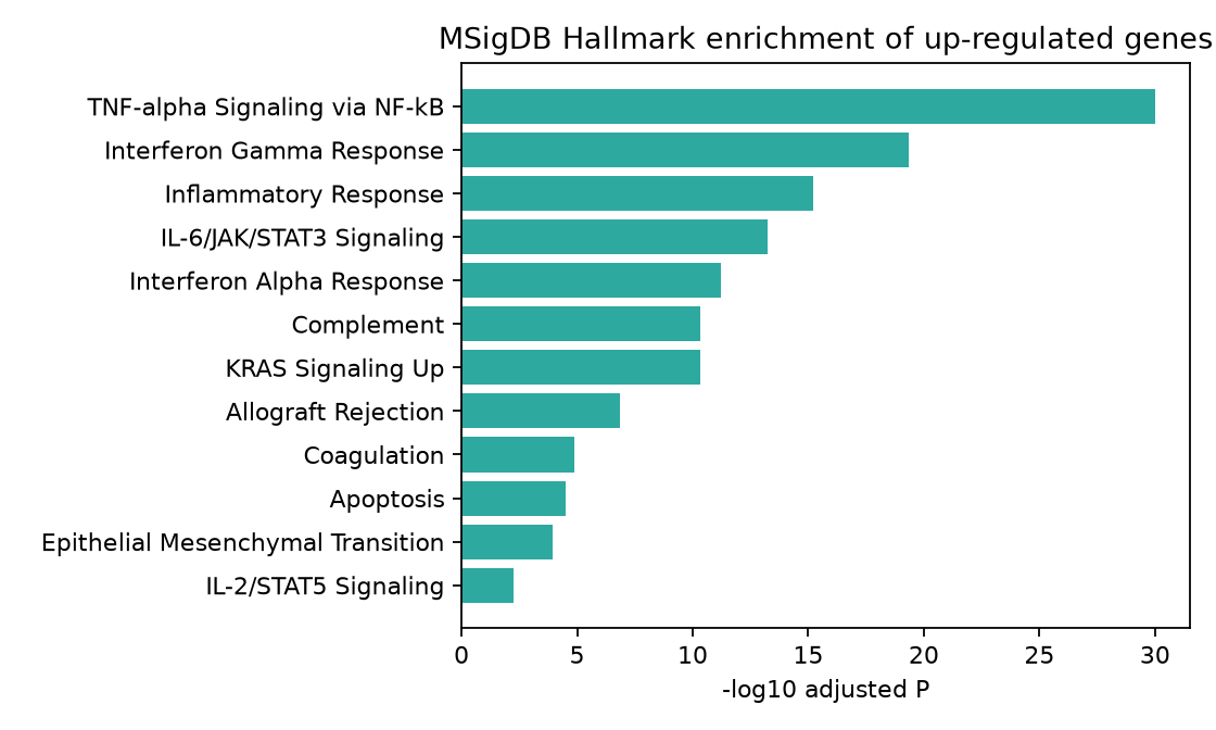 图 6 上调基因的 MSigDB Hallmark 富集。